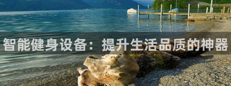 凯捷体育集团E.ON：智能健身设备：提升生活品质的神