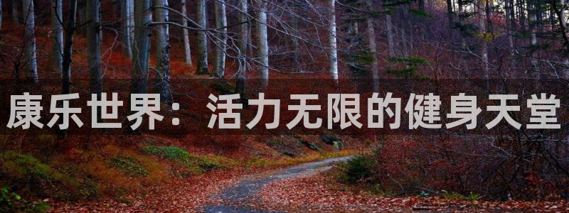 凯捷体育集团简介：康乐世界：活力无限的健身天堂