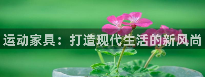 凯捷体育注册：运动家具：打造现代生活的新风尚