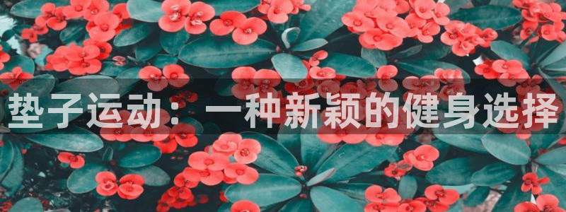 凯捷体育：垫子运动：一种新颖的健身选择
