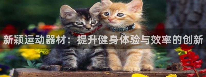 凯捷体育官方客服电话：新颖运动器材：提升健身体验与效