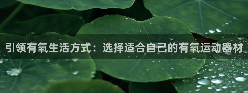 凯捷体育新能源：引领有氧生活方式：选择适合自己的有氧