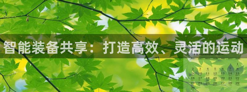 凯捷体育平台是正规平台吗知乎：智能装备共享：打造高效