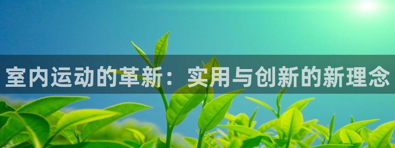 凯捷体育平台注册：室内运动的革新：实用与创新的新理念
