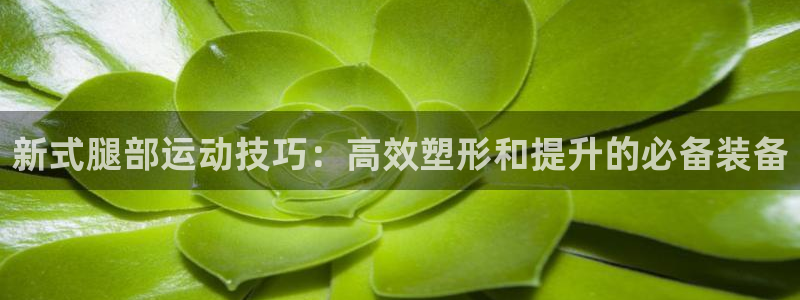 凯捷体育平台是正规平台吗：新式腿部运动技巧：高效塑形和提升的