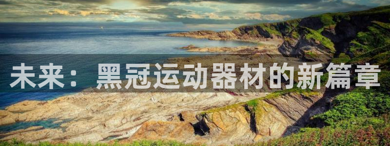 意昂集团官网：未来：黑冠运动器材的新篇章