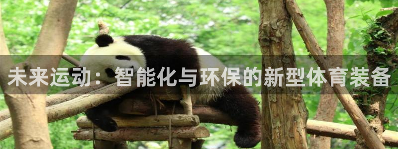 凯捷体育集团E.ON：未来运动：智能化与环保的新型体