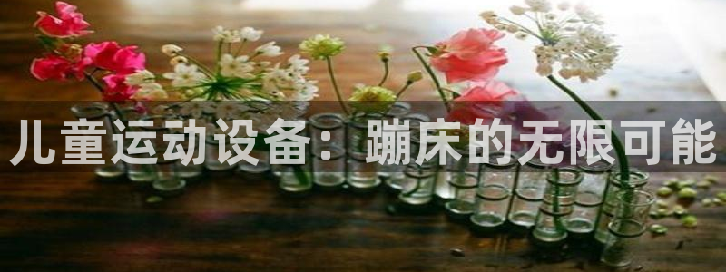 凯捷体育招商电话是多少：儿童运动设备：蹦床的无限可能