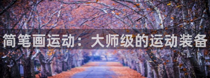 凯捷体育代理：简笔画运动：大师级的运动装备