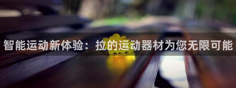 凯捷体育平台注册：智能运动新体验：拉的运动器材为您无