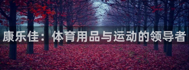 凯捷体育娱乐代理怎么样：康乐佳：体育用品与运动的领导
