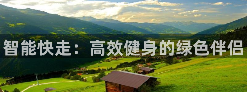 凯捷体育集团E.ON：智能快走：高效健身的绿色伴侣