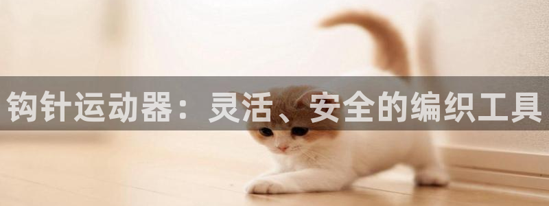 凯捷体育娱乐代理怎么样：钩针运动器：灵活、安全的编织