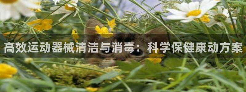 凯捷体育官方：高效运动器械清洁与消毒：科学保健康动方