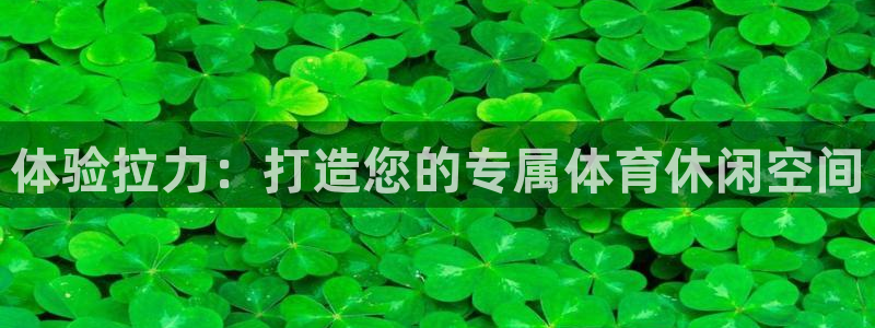 凯捷体育集团官网网址：体验拉力：打造您的专属体育休闲