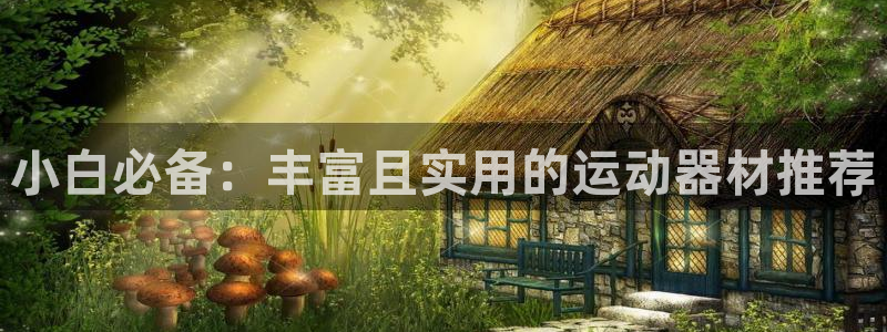 凯捷体育平台APP：小白必备：丰富且实用的运动器材推