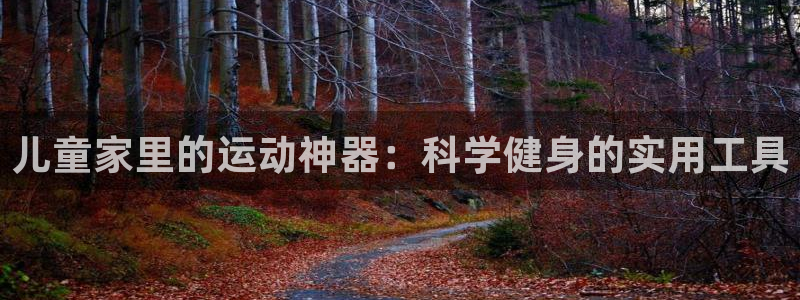 凯捷体育软件：儿童家里的运动神器：科学健身的实用工具