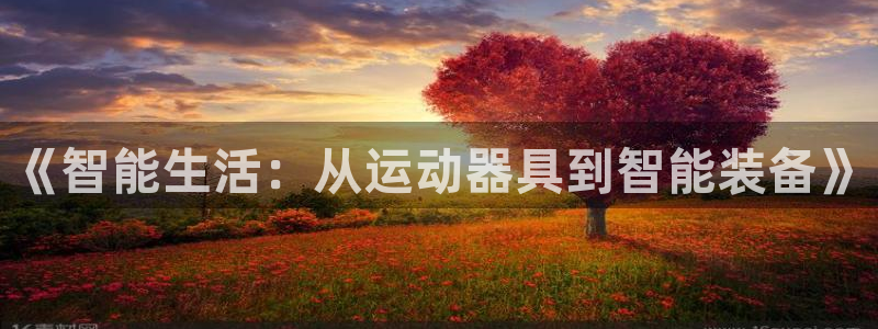 凯捷体育平台是正规平台吗知乎：《智能生活：从运动器具