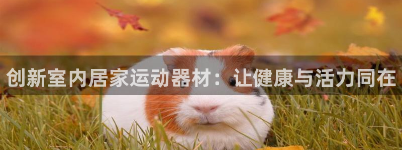 凯捷体育平台是正规平台吗知乎：创新室内居家运动器材：