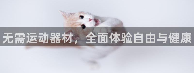 凯捷体育集团E.ON：无需运动器材，全面体验自由与健