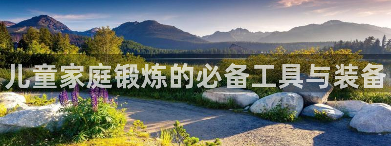 凯捷体育平台是正规平台吗安全吗：儿童家庭锻炼的必备工具与装备